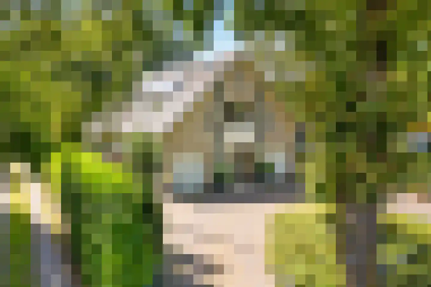 Bosrand 4 a Almelo thumbnail 58