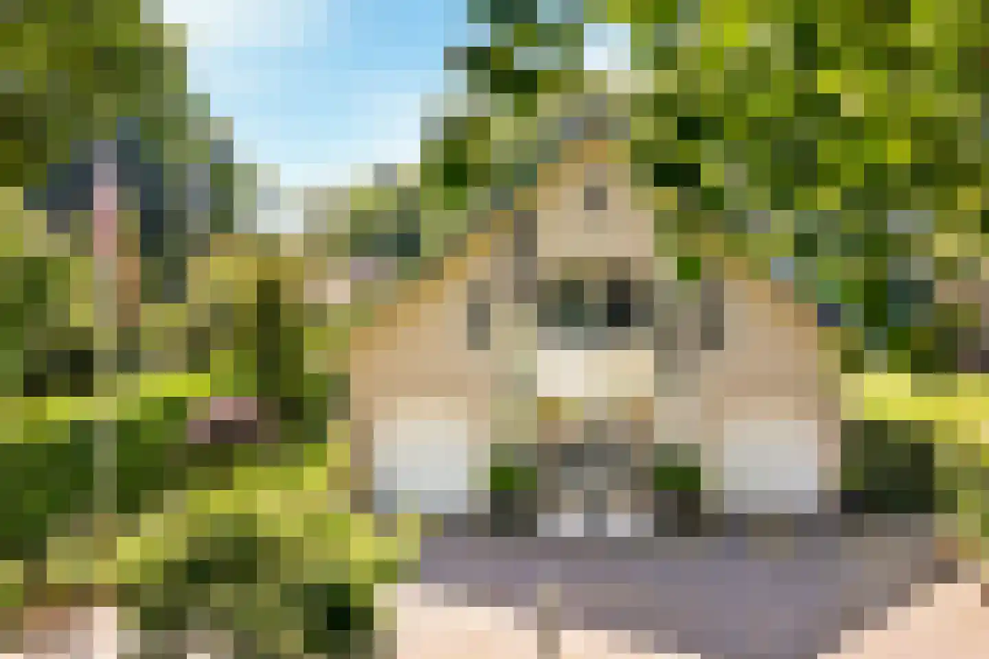 Bosrand 4 a Almelo thumbnail 59