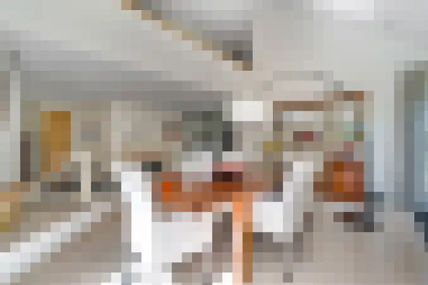 Bosrand 4 a Almelo thumbnail 9