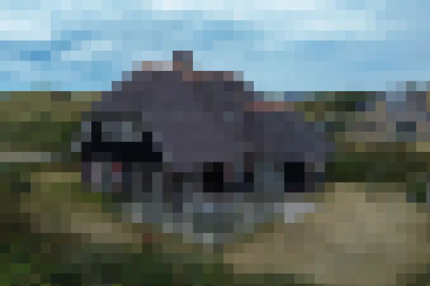 Bosrand 45 Buren thumbnail 5