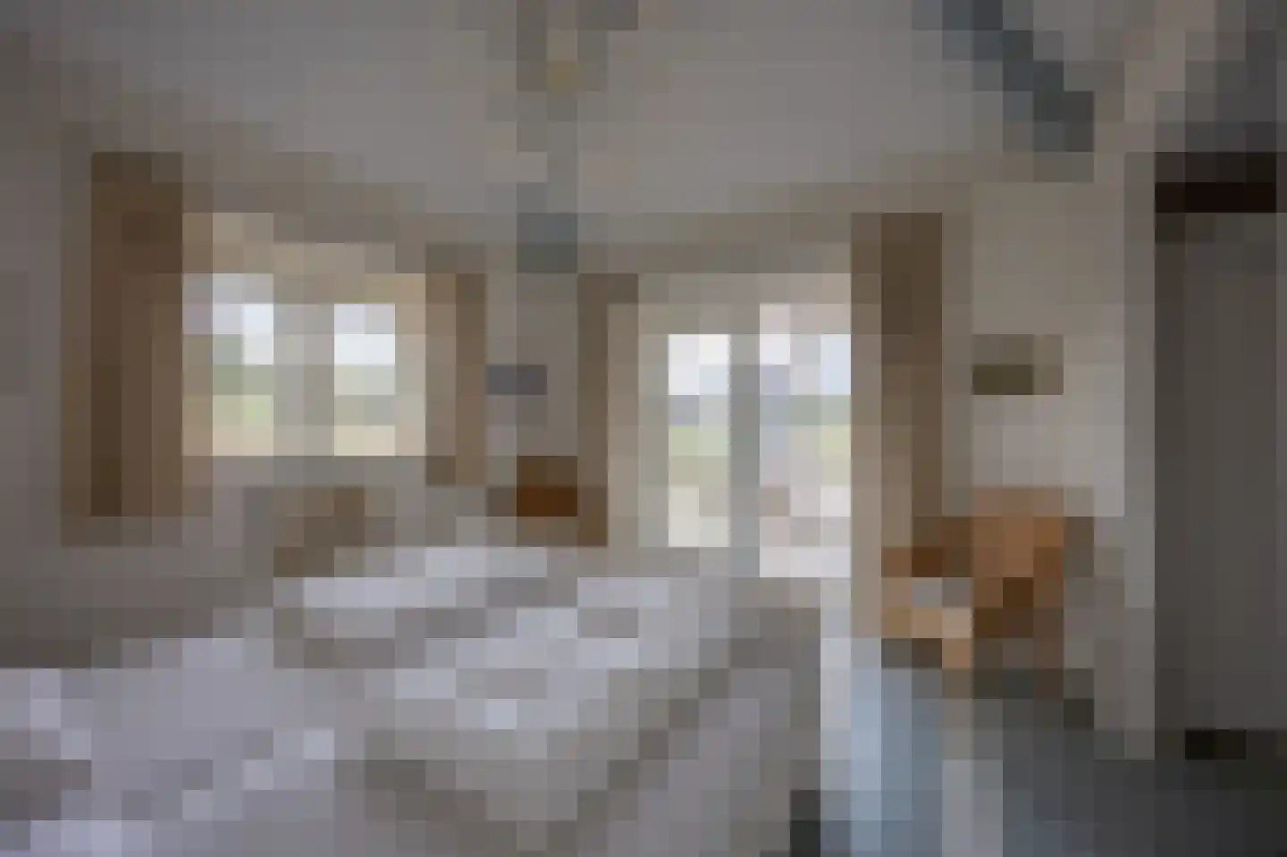 Bosrand 45 Buren thumbnail 9