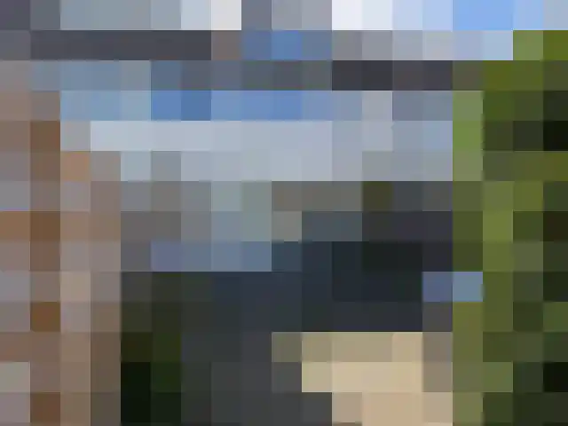 Bosrand 45 Ens thumbnail 9