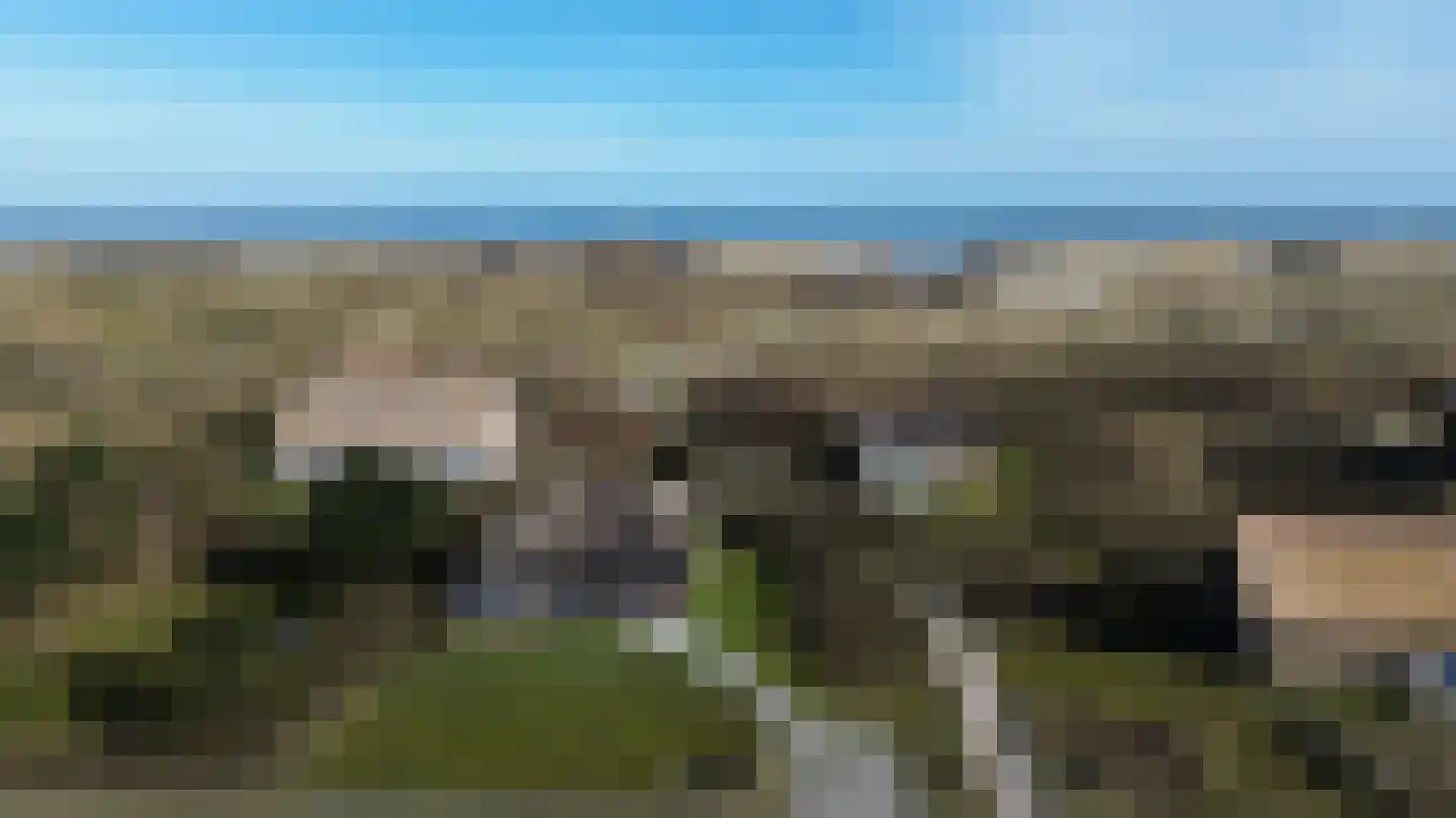 Bosrand 46 Buren thumbnail 17