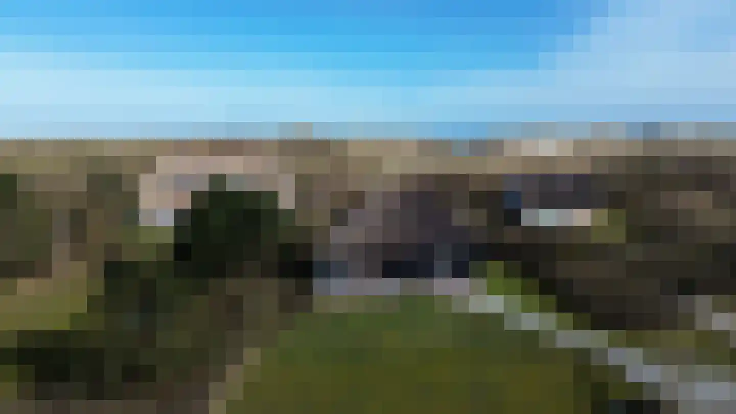 Bosrand 46 Buren thumbnail 20