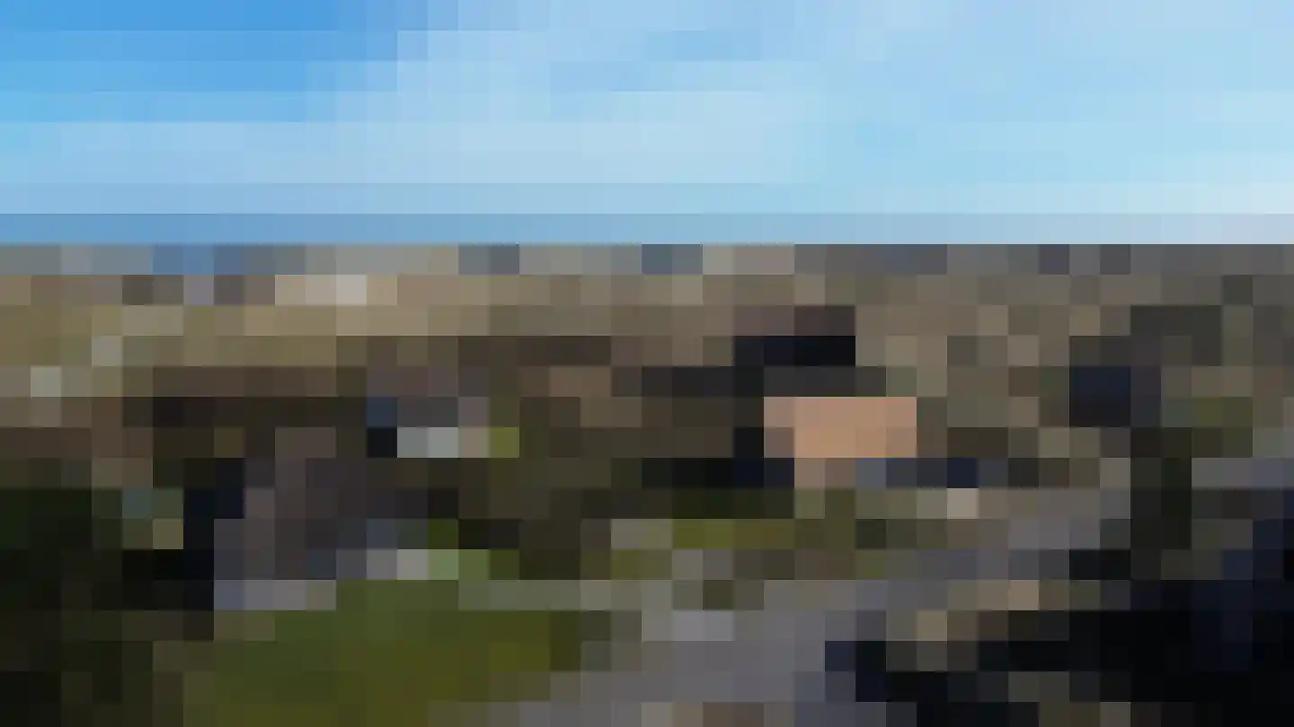 Bosrand 46 Buren thumbnail 21