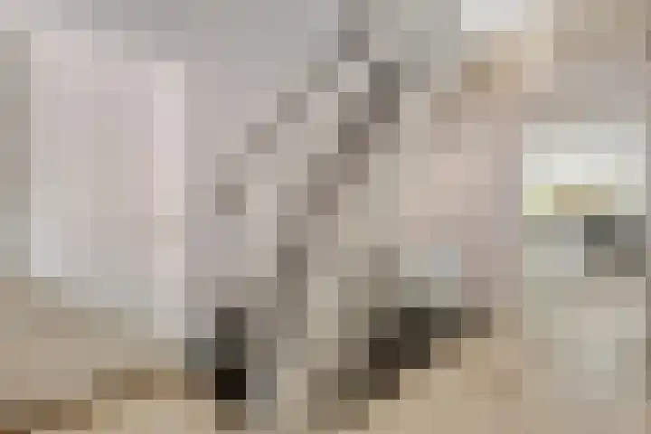 Bosrand 5 Lunteren thumbnail 10
