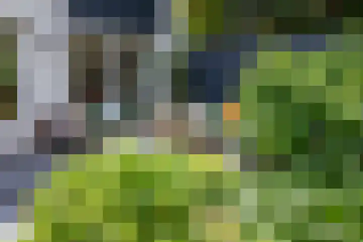 Bosrand 5 Lunteren thumbnail 30