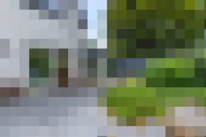 Bosrand 5 Lunteren thumbnail 31