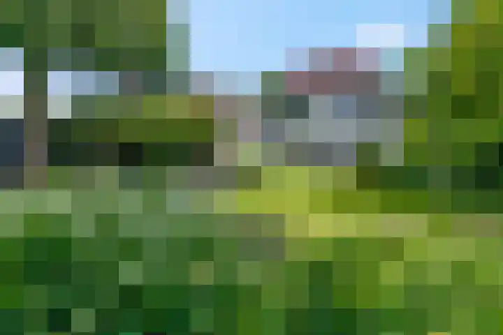 Bosrand 5 Lunteren thumbnail 32