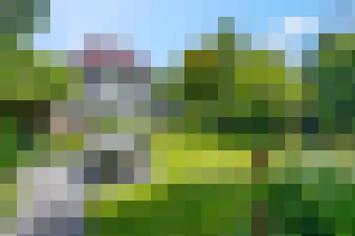 Bosrand 5 Lunteren thumbnail 33