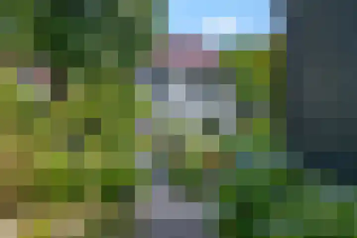 Bosrand 5 Lunteren thumbnail 34