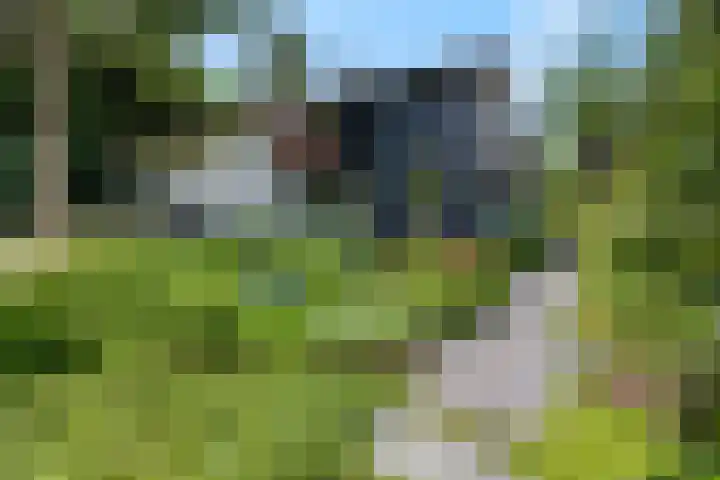 Bosrand 5 Lunteren thumbnail 35
