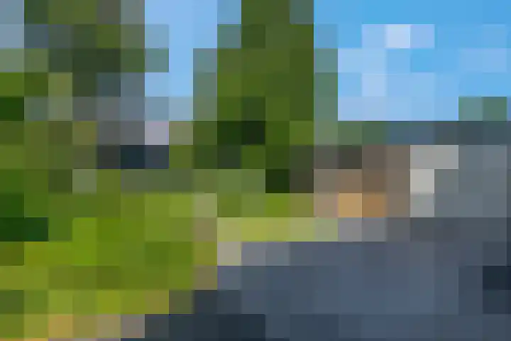 Bosrand 5 Lunteren thumbnail 36