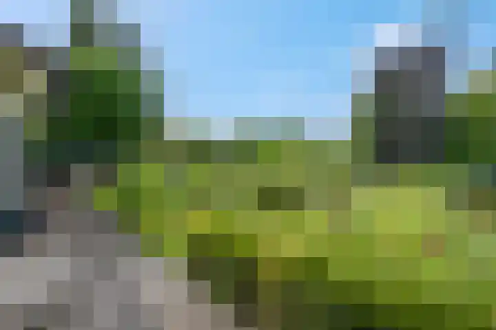 Bosrand 5 Lunteren thumbnail 42