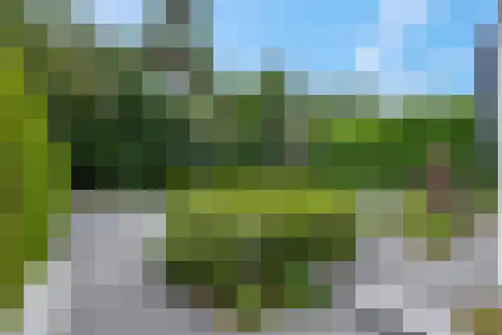 Bosrand 5 Lunteren thumbnail 43