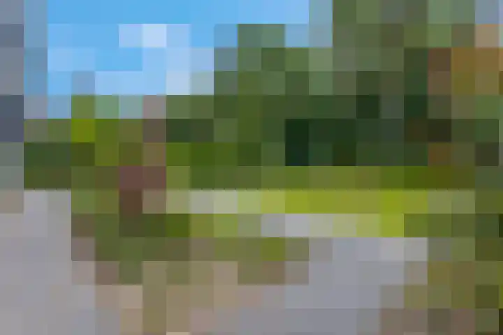 Bosrand 5 Lunteren thumbnail 44