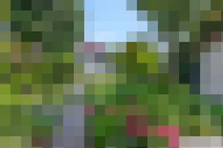 Bosrand 5 Lunteren thumbnail 5