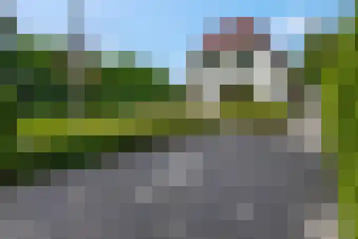 Bosrand 5 Lunteren thumbnail 52