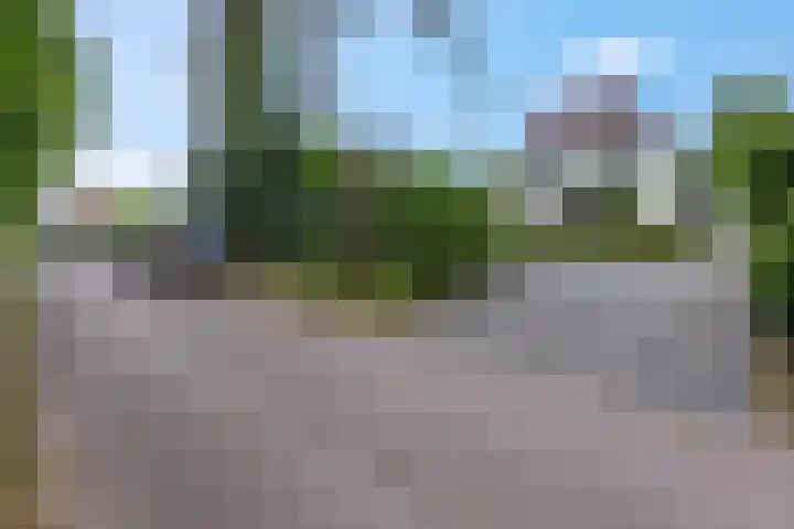 Bosrand 5 Lunteren thumbnail 6