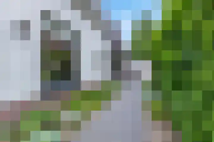 Bosrand 5 Lunteren thumbnail 7