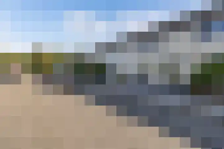 Bosrand 52 Ens thumbnail 10
