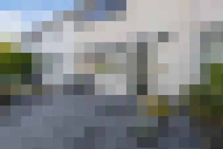 Bosrand 52 Ens thumbnail 11