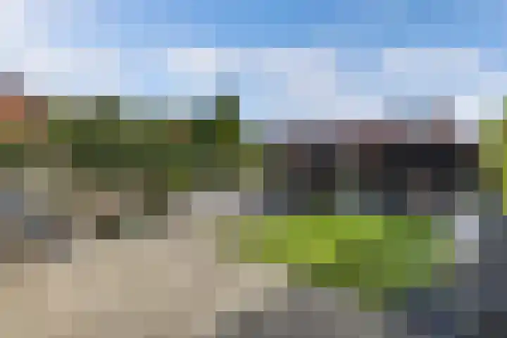 Bosrand 52 Ens thumbnail 24