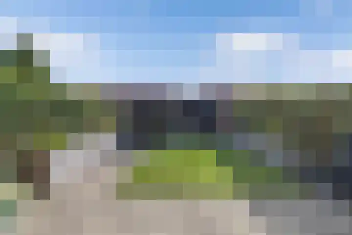 Bosrand 52 Ens thumbnail 25
