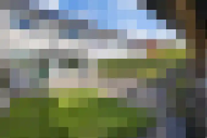 Bosrand 52 Ens thumbnail 29