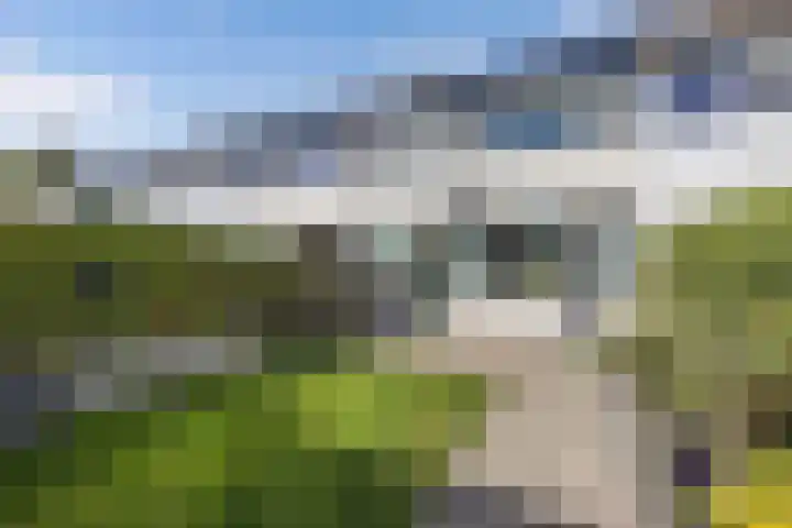 Bosrand 52 Ens thumbnail 30