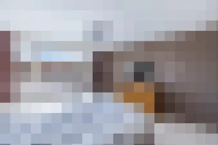 Bosrand 52 Ens thumbnail 34