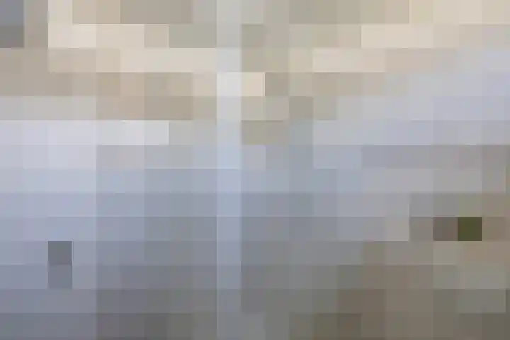 Bosrand 52 Ens thumbnail 39