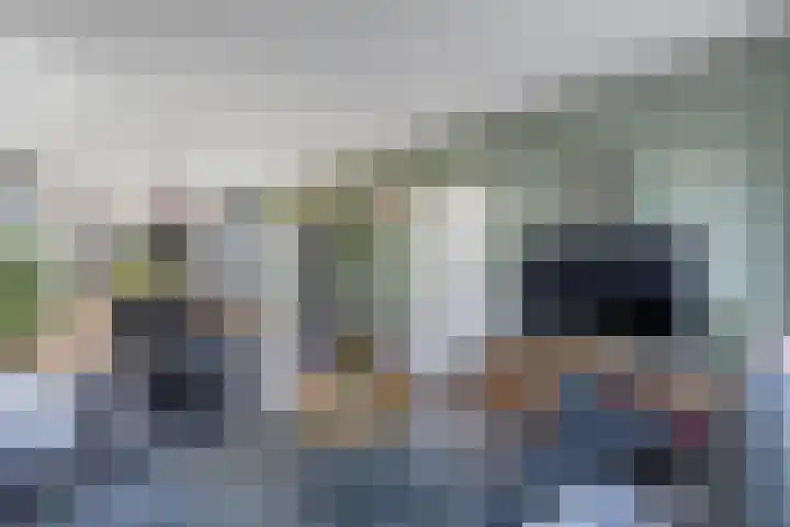 Bosrand 52 Ens thumbnail 4