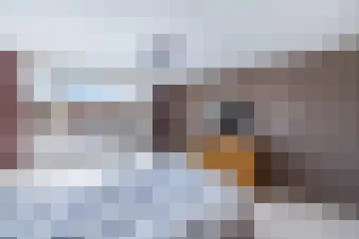 Bosrand 52 Ens thumbnail 6
