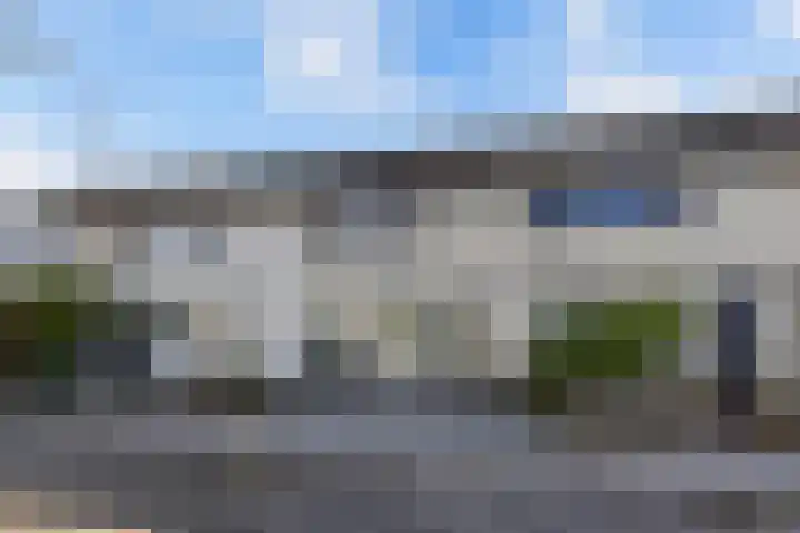 Bosrand 52 Ens thumbnail 9