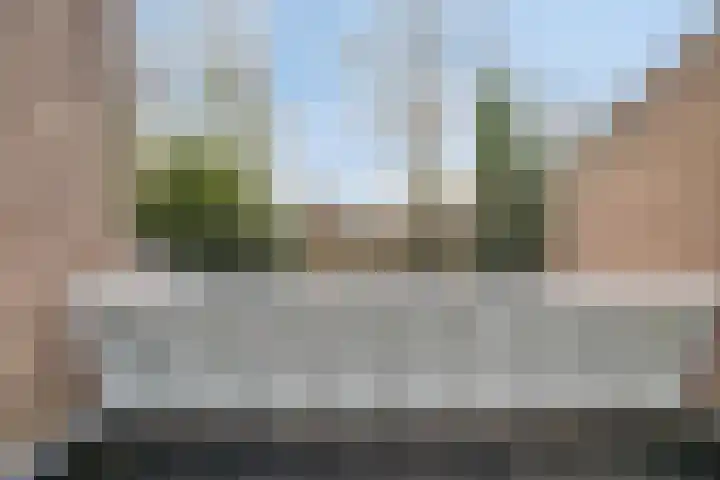 Bosrand 6 Schiedam thumbnail 23