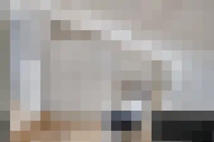 Bosrand 6 Schiedam thumbnail 24