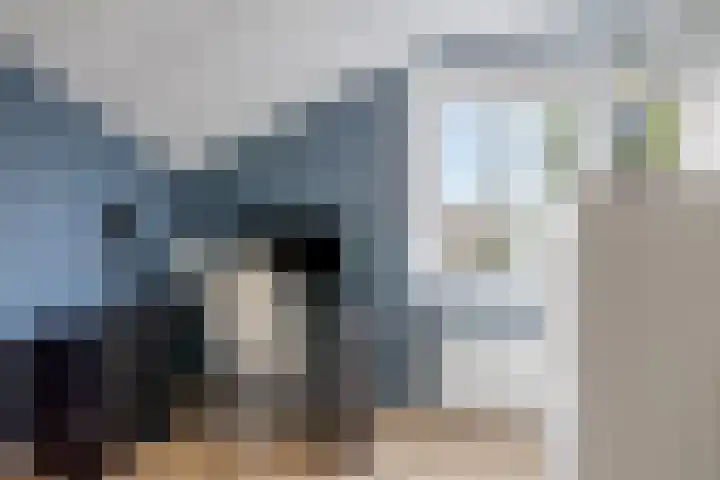 Bosrand 6 Schiedam thumbnail 29