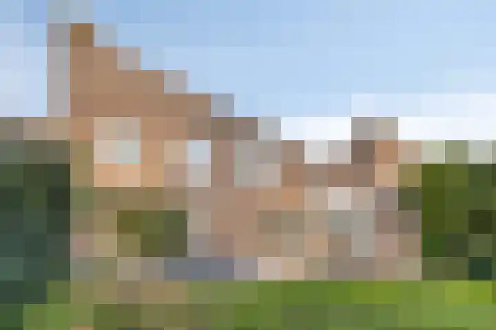 Bosrand 6 Schiedam thumbnail 34