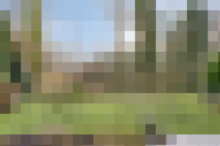 Bosrand 6 Schiedam thumbnail 35