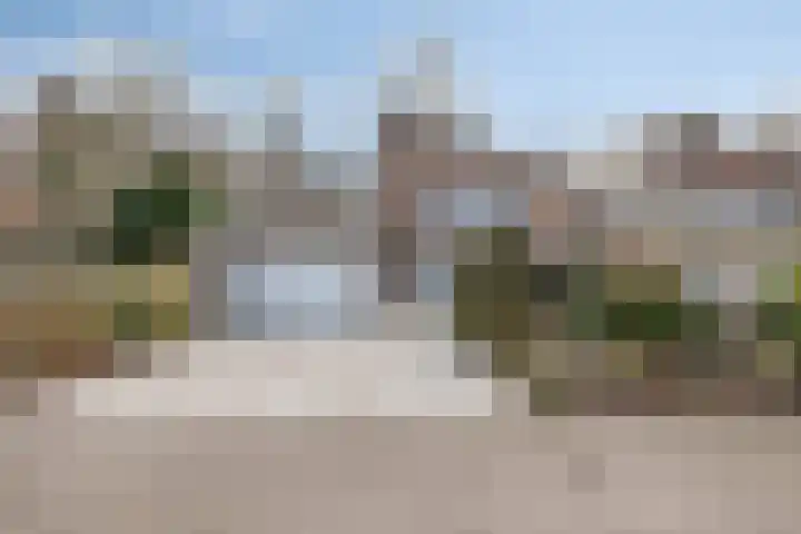 Bosrand 6 Schiedam thumbnail 39