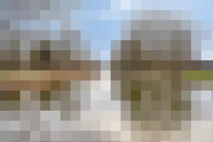 Bosrand 6 Schiedam thumbnail 40