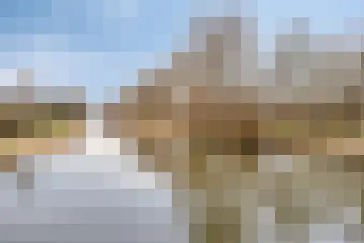 Bosrand 6 Schiedam thumbnail 41