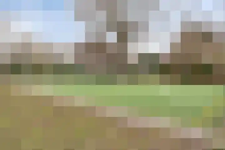 Bosrand 6 Schiedam thumbnail 44