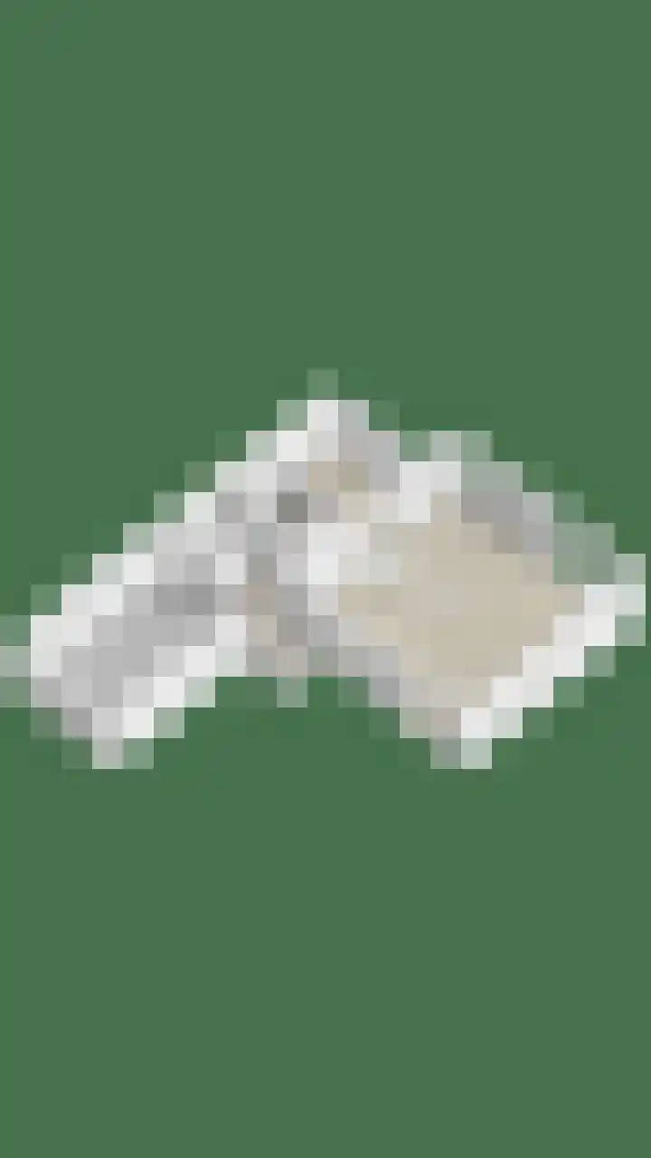 Bosrand 6 Schiedam thumbnail 46