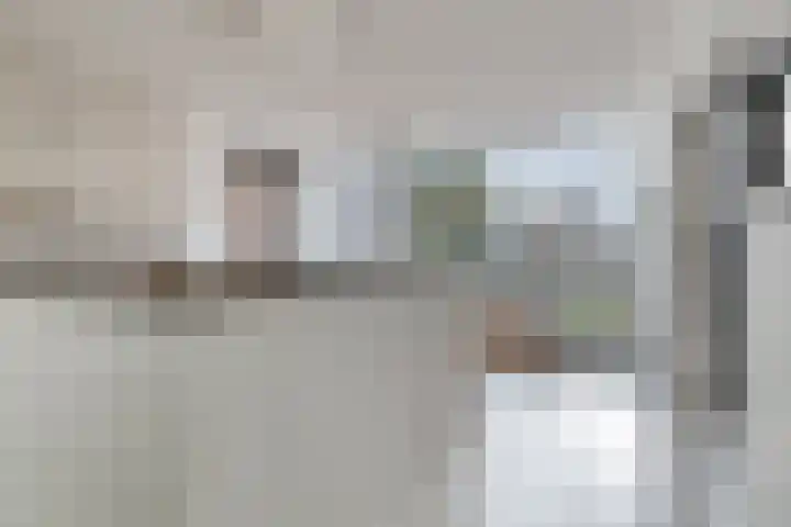 Bosrand 6 Schiedam thumbnail 7