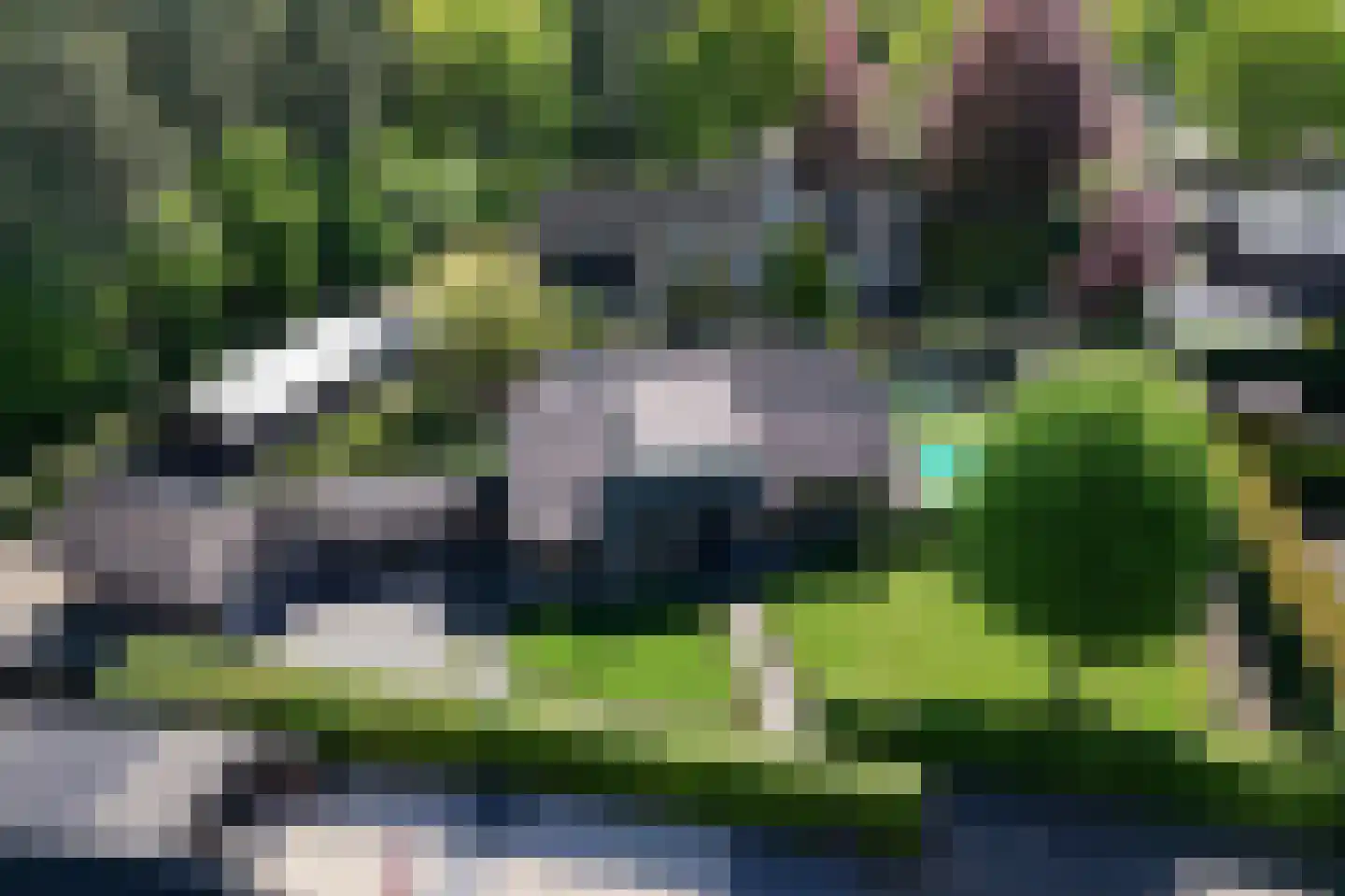 Bosrand 7 Asten thumbnail 30