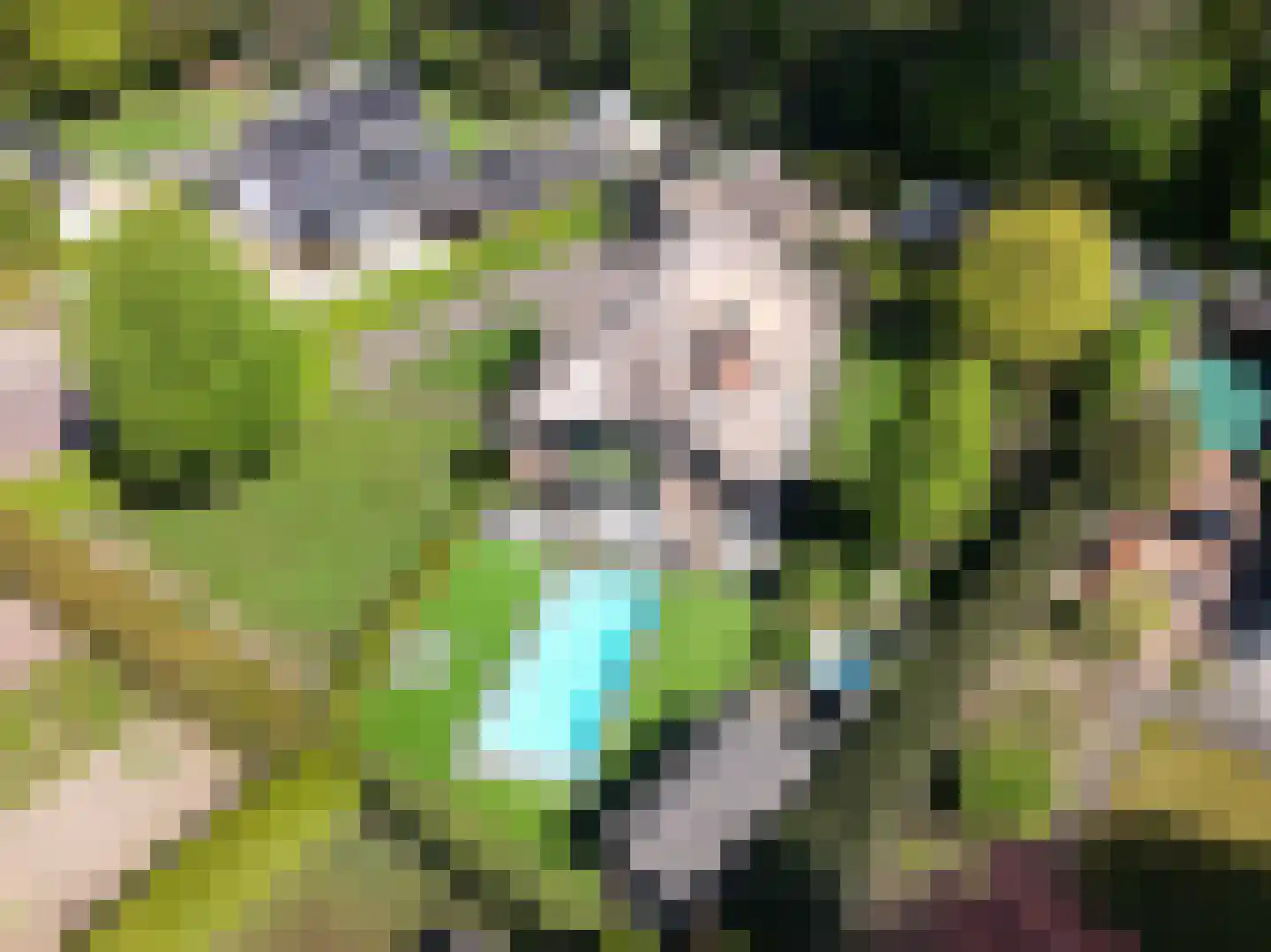 Bosrand 7 Asten thumbnail 32