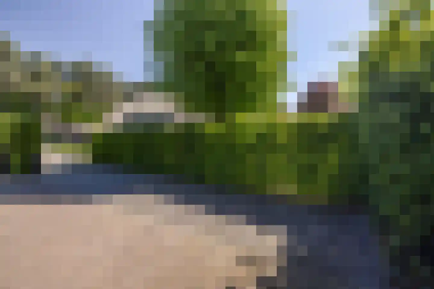 Bosrand 7 Asten thumbnail 33