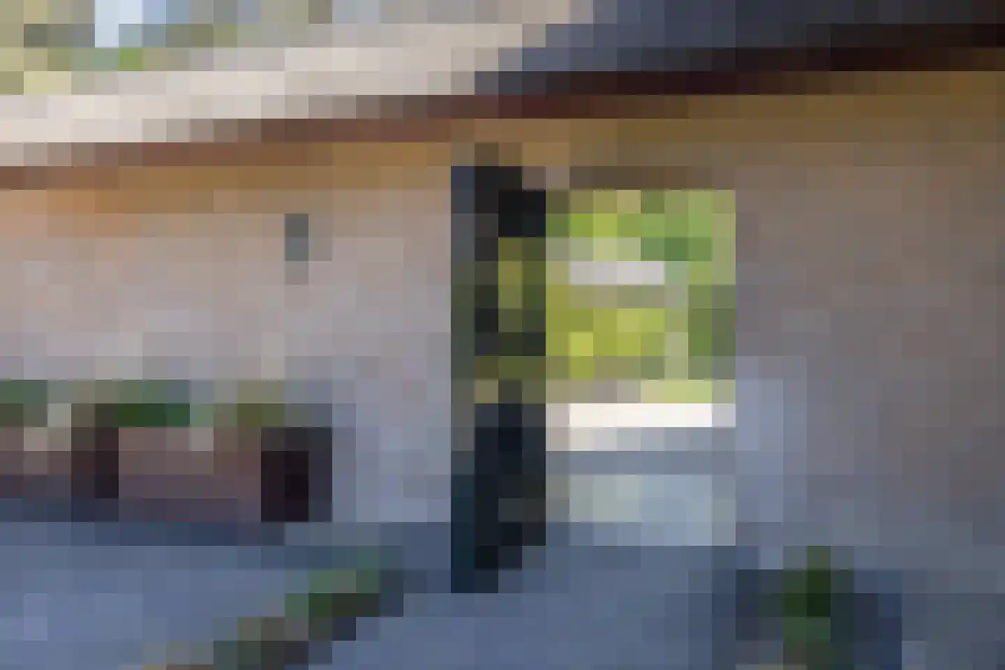 Bosrand 7 Asten thumbnail 34